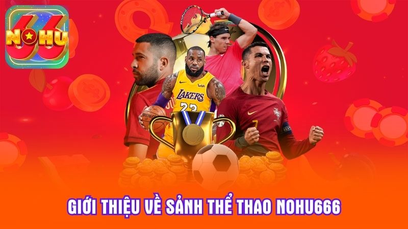 Giới thiệu về sảnh thể thao Nohu666